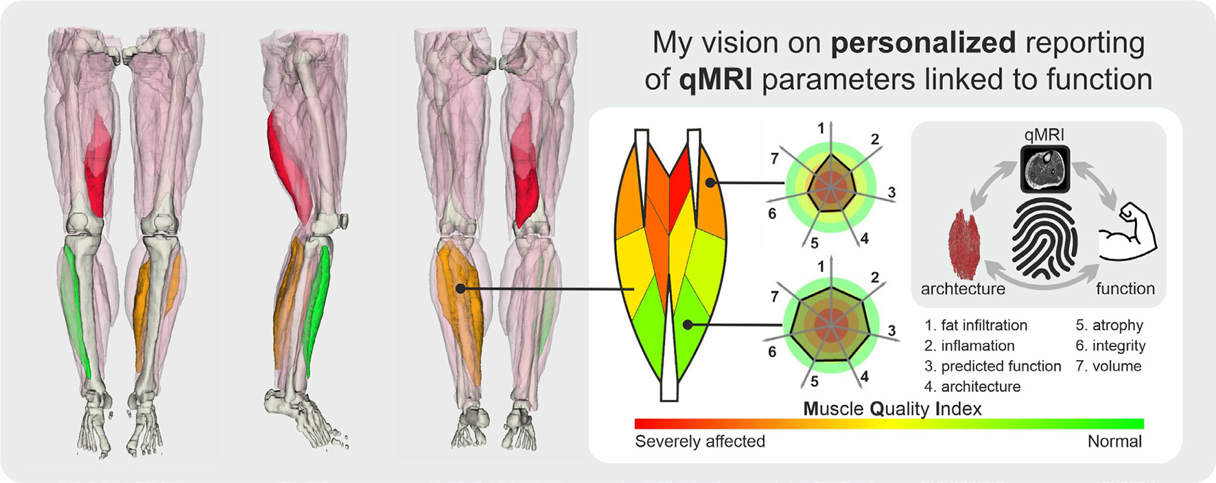 General concept for evaluating muscle quality using standardized analysis of quantitative MRI data